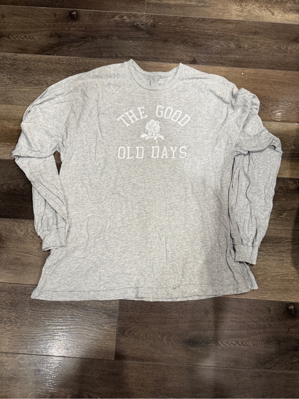 Aerie Light Gray Long-Sleeve Crewneck Oversized Graphic Tee